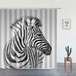 Tende da doccia Zebra africana Nero Bianco a strisce Animali selvatici Sfondo grigio Decor Tenda da bagno in tessuto di poliestere con ganci