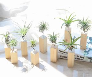 Bahçe Süslemeleri Demir Hava Bitki Standı Konteyner Tillandsia Tutucu Masa Pot Ekran Raf Vazo Ahşap Taban Ile