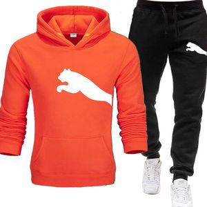Designer tracksuits Spring Autumn Mens Sets printing Hoodies Pants Sport Suits Casual Sweatshirts Tracksuit Sportswear