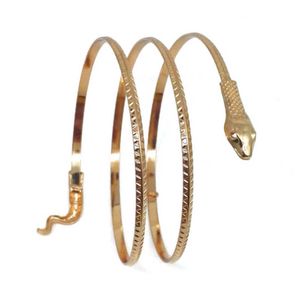 Punk aberto ajustável cobra pulseiras de manguito para mulheres moda simples gótico pulseira pulseira jóias de presentes por atacado q0719