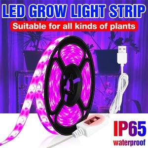 5V LED-växande ljus 1 m-3m hand svepsensor flexibel växtband vattentäta USB-fyto-lampor för lådor odla växter frö