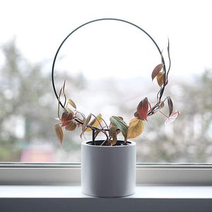 その他の庭の用品植物のサポートTrellis登山のステークサークル丸形のスタンドフレームの屋内植物の花野菜