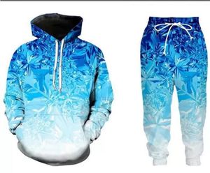 2022 New Men/Womens blue snowflake Funny 3D Print Fashion Tracksuits Hip Hop Pants + Hoodies ok031