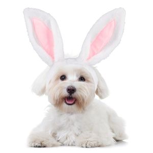 Uszy Pet Headband Cute Dog Headwear Headdress na Wielkanoc Kot Kostium Kociak Szczeniak Akcesoria Do Włosów Odzież