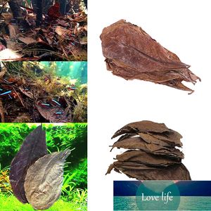 20 pcs novo eficaz terminalia natural folhas de oliveira ilha folha de amêndoa para peixes tratamento de limpeza aquário tanque ajuste pH preço de fábrica especialista design de qualidade