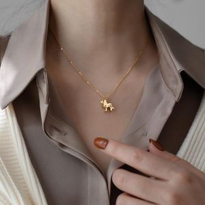 Wholesale lion necklace resale online - Timeless Wonder Titanium Geo Lion Choker Necklace Women Jewelry Fashion Korean Designer Emo Ins Sweet Gift Goth Egirl Japan Chokers