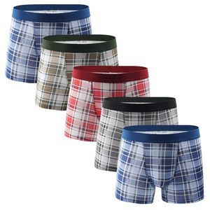 3 pezzi Sexy rosso nero Plaid boxer corto cotone traspirante biancheria intima uomo homme cueca pantaloncini mutande maschili calzoncillos morbidi unici