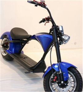 12インチの車輪スクーターのハブの脂肪タイヤの取り外し可能な電池のブラシレスモーター電気オートバイ乗馬