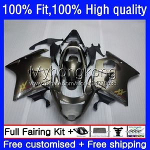 Injection Mold Fairings For HONDA Blackbird CBR 1100XX 1100 XX 96-07 35No.14 CBR1100XX 96 97 98 99 00 01 CBR1100 XX 2002 2003 2004 2005 2006 2007 OEM Bodys ALL Titanium