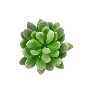 Decorative Flowers & Wreaths Gift Garden Faux Succulents Mini Flocked Simulation Bonsai Office Fake Craft Artificial Echeveria Home Decorati