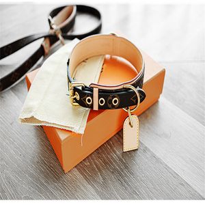 Classic Dog Collar Leashes PU Brev Mönster Hem Lyx Design Pet Supplies Justerbar