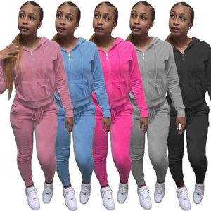 2 Piece Sets Womens Outfits Winter Pants and Top Long Sleeve Hoodies Joggers Suit Sets Velour Tracksuit Wholesale Dropshipping Y0625