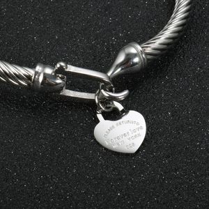 Titanium Steel Bangle Cable Wire Gold Color Love Heart Charm Bangle Armband med krokstängning för kvinnor Män bröllop smycken perfekta gåvor