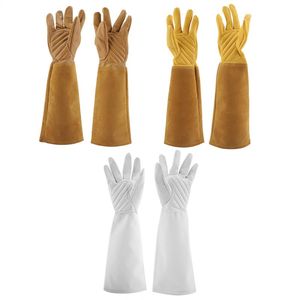 Disposable Gloves Rose Pruning Gardening Work Wearproof Puncture Proof Long Leather Forearms From Cuts And Scratches Tools