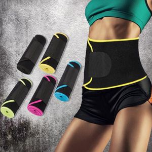 Belts Fitness Belt Can Be Adjusted Color Warm Waist Protection Sports Breathable Sweat