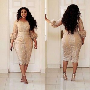 Champagne Lace Short Mother of the Bride Dresses Plus Size 2019 Tea Length 3/4 Long Sleeve Sheath Mother of Groom Gowns M02