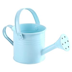 Watering Equipments Can Spray Bottle Sprinkled Portable Metal Gardening Tools With Handle Wrought Iron Shower