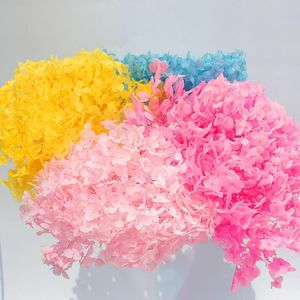 Flores decorativas grinaldas 1 caixa de cor de cor de cor secos requintados naturais de cabeça de hidrangea diy cabeças favores de casamento
