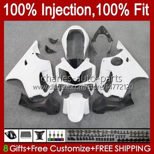 Feedings de molde branco de brilho de injeção para Honda CBR600F4 CBR 600 F4 FS CC 600F4 99 00 Bodywork 54No.44 CBR600 F4 CBR600FS 1999 2000 600cc 1999-2000 Kit de corpo OEM 100% Fit