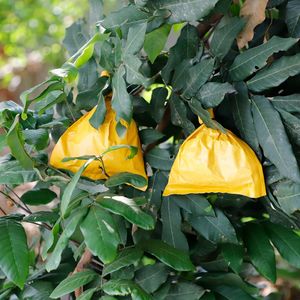 50pc Reusable Garden Protection Bags Vegetable Durable Fabric Anti-bird Pulp For Apple Grape Mango Pear Fruit Bagging 160x198cm