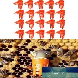 20 шт. / Установлен Пластиковая пчела королева CAP защитная клеточная крышка пчеловодства инструменты пчеловодства пчеловодки клетки клетки клетки пчеловодства поставки фабрики цена экспертов