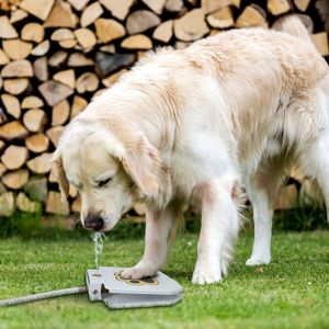 犬の屋外の飲料水噴水ステップオン、簡単な足の活性化ドリンクペットディスペンサー、淡水、頑丈で使いやすい