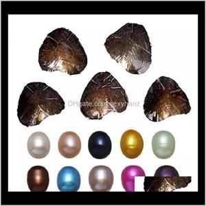 Pietre Preziose Ostrica Rotonda 6-8Mm 20 Colore Della Miscela Grande Regalo Di Acqua Dolce Fai Da Te Perle Naturali Perline Sfuse Decorazioni Confezione Sottovuoto Epacket L2Bh4