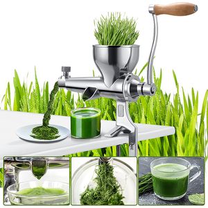 Rostfritt stålvete gräs Wheatgrass Slow Juicer för juicing Vete Grass Granatäpple Apple druvor frukt grönsaker