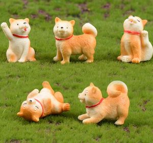 Animal Micro-paisagem Figuras Decorações Pequeno Cão Amarelo Miniatura Miniatura Akita Brinquedo Toy Jardim Bonsai Cacto Suculento Móveis GGA2012