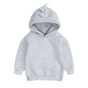 Toddler Dinozor Bahar Bebek Kız Hoodies Çocuk Kazak Erkek Yün Kostümleri Çocuk Giysileri Tops 210413