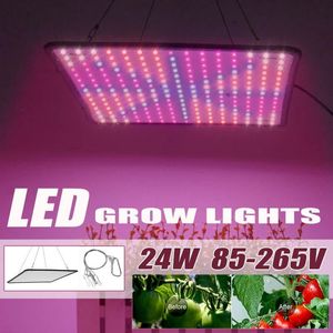 Tampões da lâmpada Coberturas 24W LED Crescer Luz Plena Planta Planta Bulbo Greenhouses AC85-265V UE Plug para Phyto Indoor