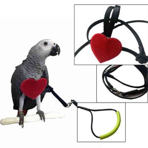 Corda da addestramento per volo anti-morso per pappagalli, guinzaglio ultraleggero per uccelli, morbido e portatile, forniture per uccelli da compagnia