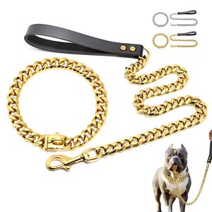 Rostfritt stål Metall Guld Hundtillbehör Kedjehalsband Koppel Djurträningshalsband för medelstora hundar Pitbull French Bulldog X0703