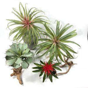 Grande Air Artificial Abacaxi Planta Planta Tillandsia Plástico Verde Folha Casa Loja Casamento Floral Decoração Decorativa Flores Grinaldas