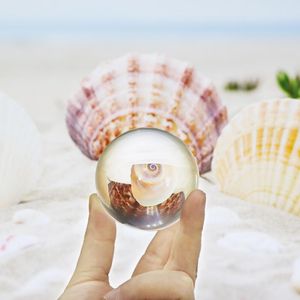 Novidade Itens Globe Clear Chandelier Lens Ball Crystal Glass Stand Para Esfera Pogal Decoração Casa Decorativa