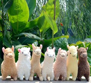 Parti Favor Kawaii Alpaca Peluş Oyuncaklar 23 cm Arpakasso Llama Dolması Hayvan Bebekler Japon Peluş Oyuncak Çocuk Çocuk Doğum Günü Noel Hediyesi SN4349