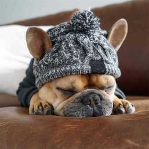 Vinter husdjur hund hatt keps jul varm vindtät s ulltillbehör för små medier s franska bulldog utomhus 211027