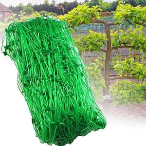 Outros suprimentos de jardim Planta Netting Pea Green Trellis Net para Feijão Frutas Vegetais Escaladas Plantas Ferramentas