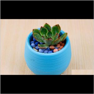 プランターカラフルなプラスチックラウンド成形植物の植物の鉢ホームオフィスのデスクトップデコガーデンポットガーデニングツールwwobv mrhl5