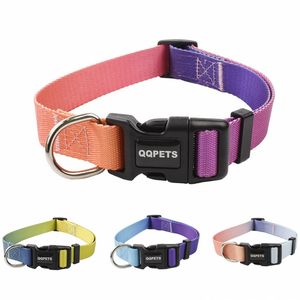 Модный градиент Color Pet Cat Dog Hollars удобный регулируемый нейлоновый дизайнерский воротник зачесывает застывшие сублимационные заготовки 4 цвета