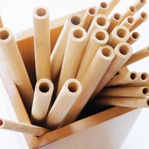 Copos descartáveis ​​palha de bambu para bebidas em lacas de boca inclinadas plana e café de leite não-cera café 2114 v2