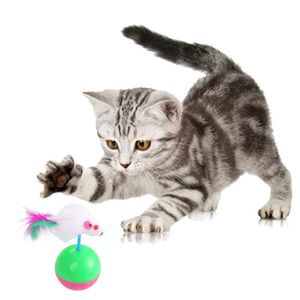 Cat Toys 20pcs Kitten Toy Variety Pack Stick Mouse Bell Ball Combination Set Pet Teasing