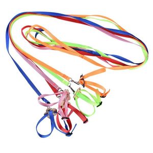 1.2m Pet PapegoT Train Leash Justerbar Polyester Harness Anti Bite Rope för Bird Hamster Lizard Små Pet Products