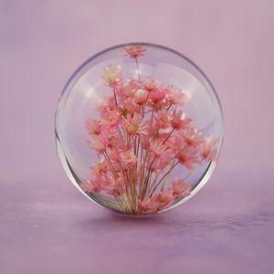 Nieuwigheid Items Real Red Daisy Crystal Glass Hars Lensbal Natuurlijke Planten Bloemen Specimen Kerstmis Love Mum Gift met Doos Home Decor Globe