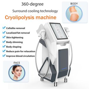 Yağ Dondurulmuş Zayıflama Cihazı Serin Teknoloji Selülit Azaltma Cryolipolisis Vücut Şekli Dikey Kriyo İnce Makinesi