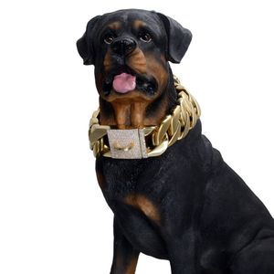 Collari per cani con diamanti moda catena in oro da 32 mm in acciaio inossidabile Guinzagli Bulldog Corgi Teddy Collare per animali di grandi dimensioni
