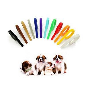 Puppy Collar Identificatie ID Collars Band voor Whelp Kitten Hond Pet Cat Fluwelen Praktisch kleuren H1