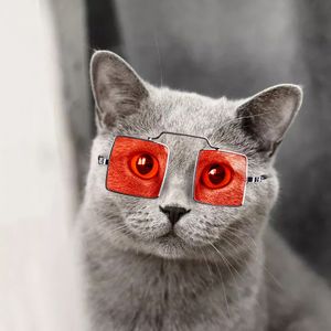 Trendige Haustier-Sonnenbrille, Schmuck, kreative Katze, Hund, Schutzbrille, Foto, lustige Requisiten, personalisierte Welpen-Dekoration