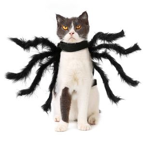 Vestiti per animali domestici di Halloween Costume da gatto di peluche per cani Costume da cosplay per feste divertenti Simulazione di ragno nero