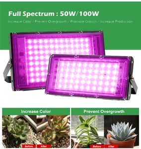 Pełny spektrum LED Grow Light 50 100 W Stojak Fito Lampa On Off Switch AC110 220 V Greenhouse Hydroponic Roślin Kwiaty Rośliny Wzrostowe Lampy oświetleniowe